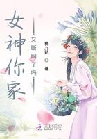 网游之刺客重生全文免费阅读