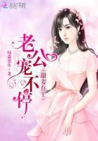 我和豪门先生离婚了txt