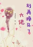 精灵宝可梦之系统