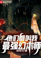 逍遥小贵婿男主几个老婆