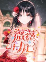 机甲大师官方视频