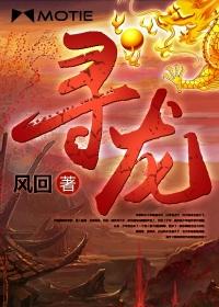 崩坏之际讲了什么