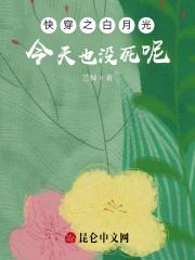 大理寺少卿什么官职