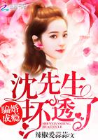 我与二十六岁美女租客