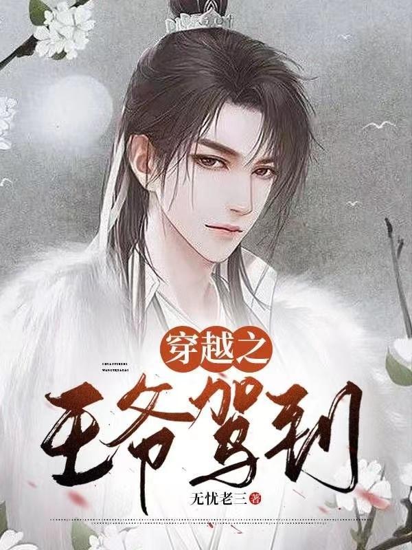 女总裁的贴身医婿