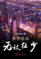 崩坏之际合集免费