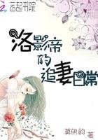 这个杀手不高冷免费阅读