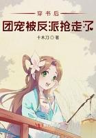 天才相师刘忙免费播放