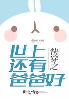 我的前女友都是极品