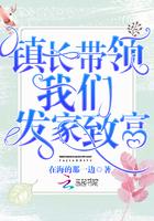 三宝带她炸了大佬集团最新章