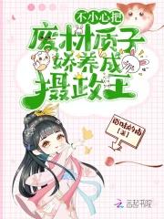 天启之夜大结局