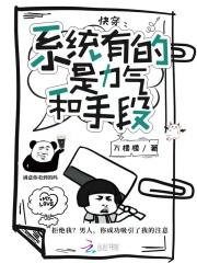 天狼一共多少集