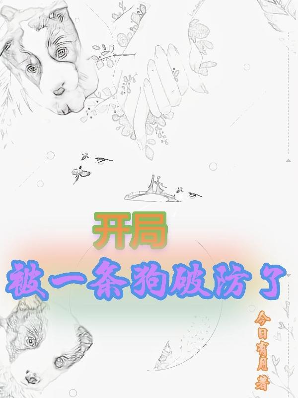 摊牌了全文免费阅读