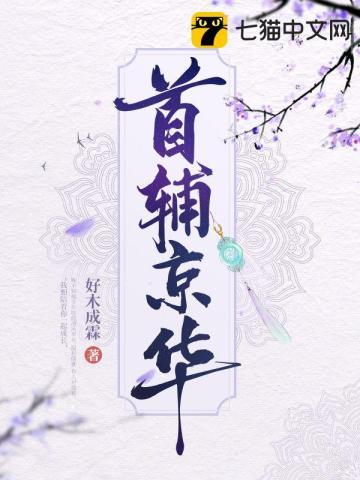 精灵宝可梦小智的所有宝可梦