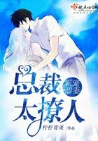 重生之我是一只狐