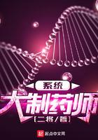 奥特曼宇宙英雄赛罗究极形态对战光之子