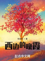 神婿叶凡在线阅读