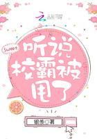 这个福晋有点萌在线阅读